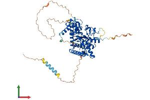 Protein Structure (PS) image for Galactose 3-O-Sulfotransferase 4 (GAL3ST4) (AA 1-486) protein (His tag) (ABIN7547842)