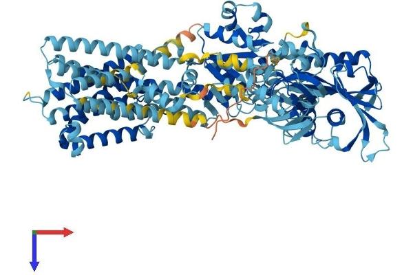 ATP2C1 Protein (AA 1-919) (His tag)