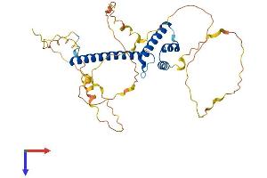 NEUROD1 Protein (AA 1-356) (His tag)