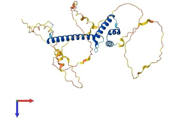 NEUROD1 Protein (AA 1-356) (His tag)