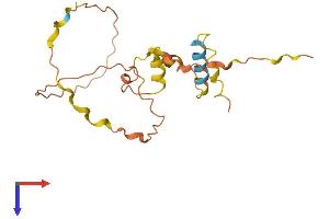 Chromosome Y Open Reading Frame 17 (CYORF17) (AA 1-182) protein (His tag)