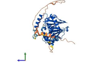 Protein Structure (PS) image for Paroxysmal Nonkinesigenic Dyskinesia (PNKD) (AA 1-385) protein (His tag) (ABIN7557888)