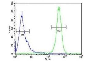 Flow Cytometry (FACS) image for anti-Beclin 1, Autophagy Related (BECN1) (AA 95-132) antibody (ABIN3028503)