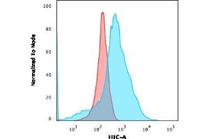 Flow Cytometric Analysis of K562 cells using GLUT-1 Mouse Monoclonal Antibody (GLUT1/2475) followed by goat anti-Mouse IgG-CF488 (Blue); Isotype Control (Red). (GLUT1 Antikörper  (AA 203-305))