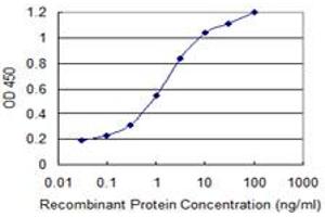 Detection limit for recombinant GST tagged TRPV1 is 0. (TRPV1 Antikörper  (AA 21-124))