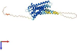 Protein Structure (PS) image for Serotonin Receptor 5A (HTR5A) (AA 1-357) protein (His tag) (ABIN7551837)