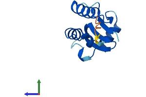 AlphaFold protein structure predicition of Human Recombinant SH3BGRL2 Protein, UniprotID Q9UJC5