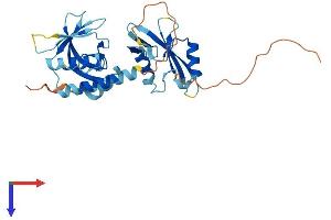 STAP1 Protein (AA 1-297) (His tag)
