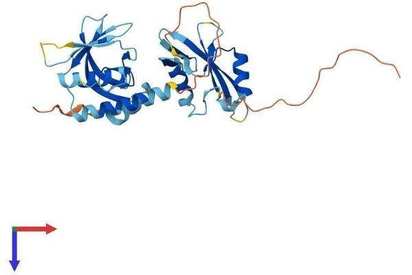 STAP1 Protein (AA 1-297) (His tag)