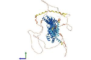 Protein Structure (PS) image for Hyperpolarization Activated Cyclic Nucleotide-Gated Potassium Channel 2 (HCN2) (AA 1-889) protein (His tag) (ABIN7554081)