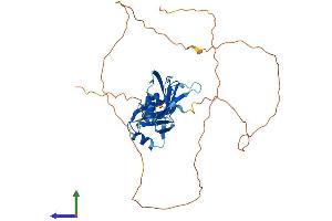 Protein Structure (PS) image for Musashi Homolog 1 (Drosophila) (MSI1) (AA 1-362) protein (His tag) (ABIN7549516)