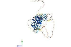 Protein Structure (PS) image for V-Raf Murine Sarcoma 3611 Viral Oncogene Homolog (ARAF) (AA 1-606) protein (His tag) (ABIN7552333)