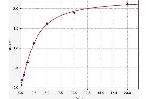 SLC31A1 ELISA Kit