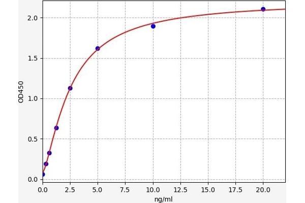 SLC31A1 ELISA Kit