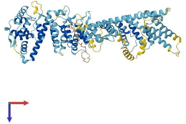 NUP93 Protein (AA 1-819) (His tag)