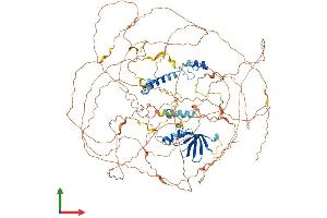 Protein Structure (PS) image for Ataxin 2-Like (ATXN2L) (AA 1-1049) protein (His tag) (ABIN7564206)