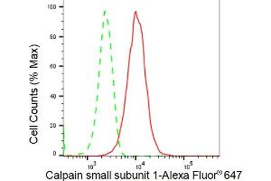 Flow cytometric analysis of Calpain small subunit 1 expression in HepG2 cells using Calpain small subunit 1 antibody (ABIN7797849), 1:2,000). (Rekombinanter LOC395965 Antikörper  (Subunit 1))