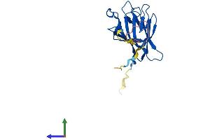 Protein Structure (PS) image for TRAF-Interacting Protein with Forkhead-Associated Domain (TIFA) (AA 1-184) protein (His tag) (ABIN7558186)
