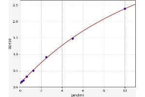 WTAP ELISA Kit