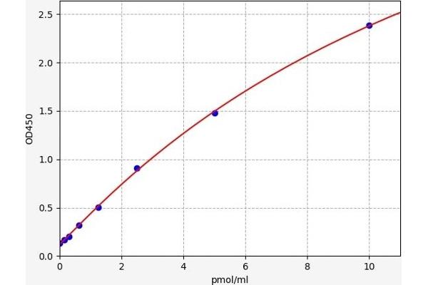 WTAP ELISA Kit