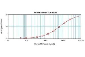 Image no. 1 for anti-Fibroblast Growth Factor 1 (Acidic) (FGF1) antibody (ABIN1498254) (FGF1 Antikörper)