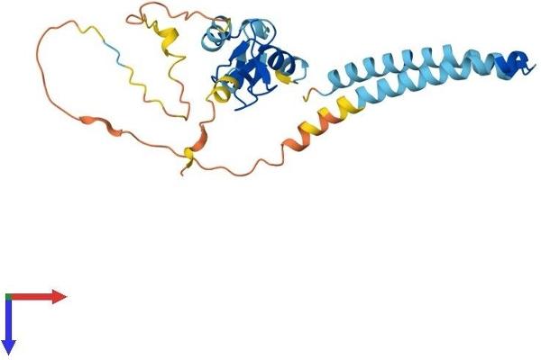 RNF182 Protein (AA 1-247) (His tag)