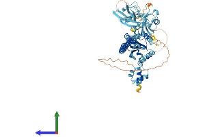 FAF1 Protein (AA 1-649) (His tag)