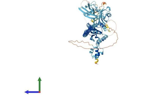 FAF1 Protein (AA 1-649) (His tag)