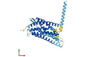 Protein Structure (PS) image for Succinate Receptor 1 (SUCNR1) (AA 1-334) protein (His tag) (ABIN7544043)