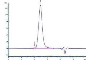 The purity of Cynomolgus / Rhesus macaque B7-2, His Tag (Hied) (ABIN2180854,ABIN2180853) was more than 95 % as determined by . (CD86 Protein (CD86) (AA 19-240) (His tag))