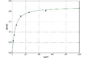 Regenerating Islet-Derived Family, Member 4 (REG4) ELISA Kit