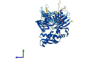 Protein Structure (PS) image for Heat Shock 70kDa Protein 1-Like (HSPA1L) (AA 1-641) protein (His tag) (ABIN7562906)