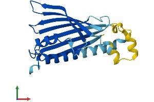 Protein Structure (PS) image for PRELI Domain Containing 2 (PRELID2) (AA 1-189) protein (His tag) (ABIN7550987)