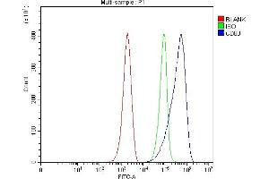 Flow Cytometry analysis of ANA-1 cells using anti-Cd80 antibody (ABIN7602197). (CD80 Antikörper  (AA 62-92))