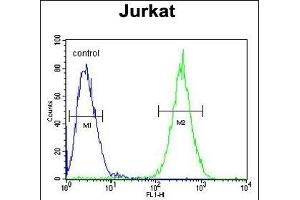SELPLG Antibody (C-term) (ABIN654425 and ABIN2844160) flow cytometric analysis of Jurkat cells (right histogram) compared to a negative control cell (left histogram). (SELPLG Antikörper  (C-Term))