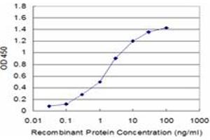 Detection limit for recombinant GST tagged PPFIBP2 is approximately 0. (PPFIBP2 Antikörper  (AA 1-100))