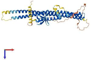 SH3GLB2 Protein (AA 1-400) (His tag)