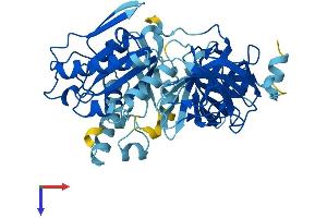 eEF1A1 Protein (AA 1-462) (His tag)