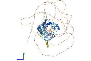 Protein Structure (PS) image for Transcription Termination Factor, RNA Polymerase I (TTF1) (AA 1-905) protein (His tag) (ABIN7555848)