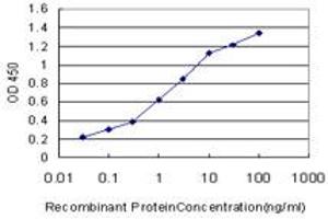Detection limit for recombinant GST tagged ABL2 is approximately 0. (ABL2 Antikörper  (AA 743-842))