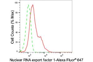 Flow cytometric analysis of Nuclear RNA export factor 1 expression in HepG2 cells using Nuclear RNA export factor 1 antibody (ABIN7799664), 1:2,000). (Rekombinanter NXF1 Antikörper)
