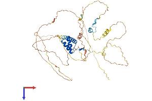 HLX Protein (AA 1-488) (His tag)