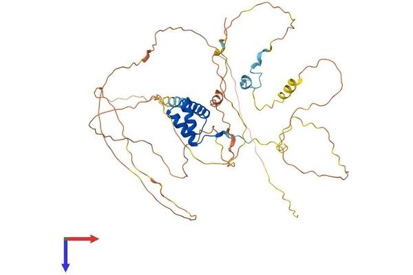 HLX Protein (AA 1-488) (His tag)