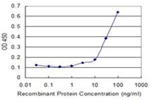 Detection limit for recombinant GST tagged INPP1 is 1 ng/ml as a capture antibody. (INPP1 Antikörper  (AA 1-399))