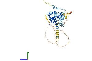 Protein Structure (PS) image for Centrosomal Protein 41kDa (CEP41) (AA 1-373) protein (His tag) (ABIN7560444)