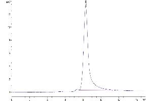 Size-exclusion chromatography-High Pressure Liquid Chromatography (SEC-HPLC) image for Lectin, Galactoside-Binding, Soluble, 1 (LGALS1) (AA 2-135) protein (Fc Tag) (ABIN7274694)