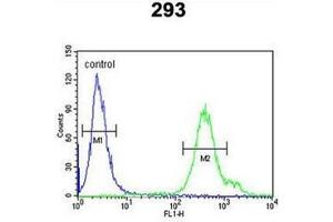 Flow cytometric analysis of 293 cells using REG3A Antibody (N-term) Cat. (REG3A Antikörper  (N-Term))