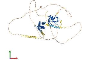 AlphaFold protein structure predicition of Human Recombinant PSIP1 Protein, UniprotID O75475