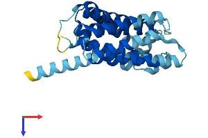 TMEM101 Protein (AA 1-257) (His tag)