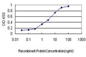 Detection limit for recombinant GST tagged COASY is approximately 0. (COASY Antikörper  (AA 1-225))